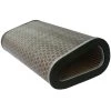 Hiflo Filtro OE Replacement Air Filter - HFA1618 -Pro Moto Shop hiflo filtrex air filter hfa1618